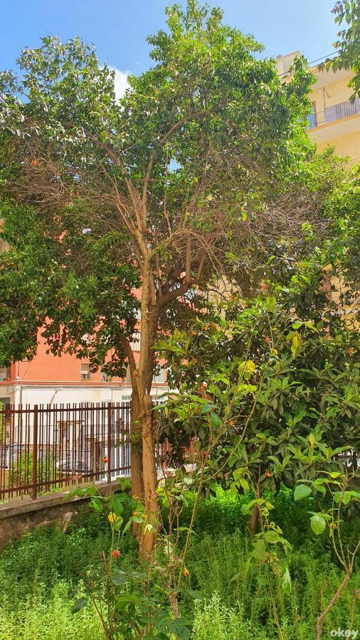Star House - Bari Centro Daire Dış mekan fotoğraf